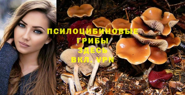 прущие крисы Алзамай