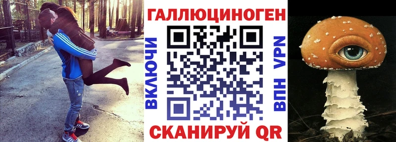 хочу   Алзамай  Псилоцибиновые грибы Psilocybe 
