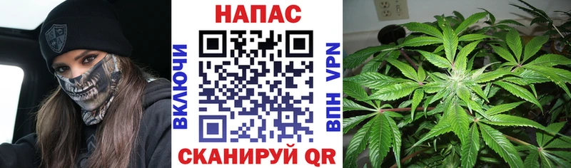 Каннабис сатива  KRAKEN рабочий сайт  Алзамай 